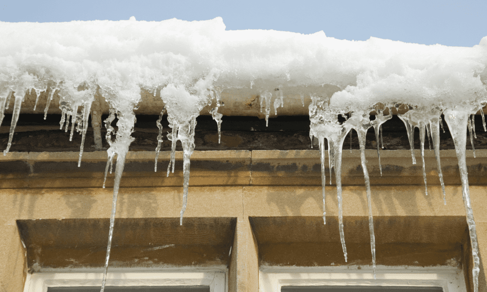 Untitled design (39)